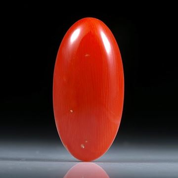 Edelkoralle, ovaler Cabochon ca.25x12.5x5mm