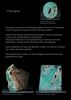 Chrysopras, Chrysoprase, Australian-Jade,