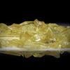 Goldberyllkristalle 1 Lot 272.27ct.  Kristalle von ca.15 bis 20mm Länge
