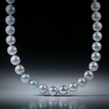 Perlencollier Akoya hellgrau, Durchmesser 7.5 - 8mm, Gesamtlänge 46cm