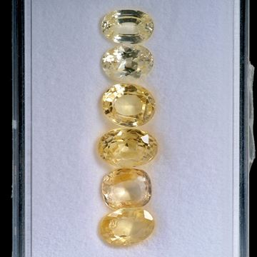 Saphir Ceylon unerhitzt 13.71ct. Lot aus 6 Steinen, Grösse ca.8-9mm